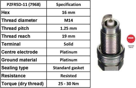 pzfr5d 11